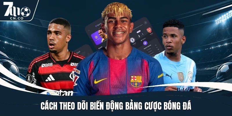 Cách theo dõi biến động bảng cược bóng đá