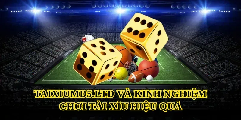 Taixiumd5.ltd và kinh nghiệm chơi tài xỉu hiệu quả